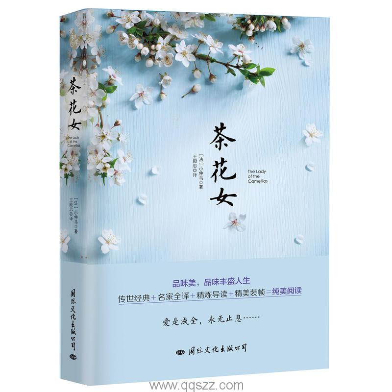 茶花女-小仲马 精校电子书,精版,Kindle电纸书,azw3,epub