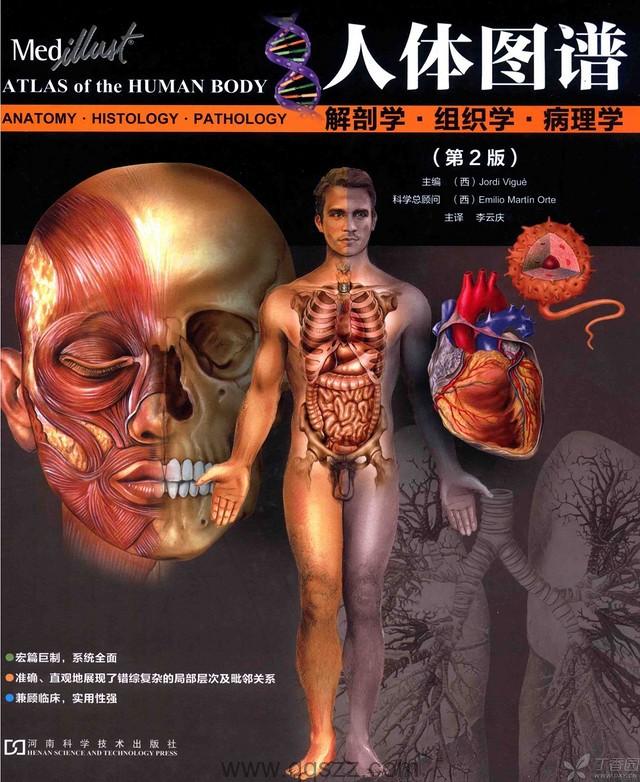 人体图谱：解剖学、组织学、病理学 （彩图）【李云庆】pdf_电子书下载
